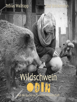 cover image of Wildschwein Odin